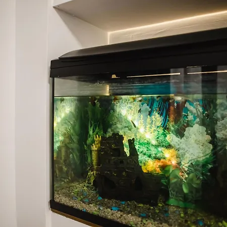 Appartamento Melissa *